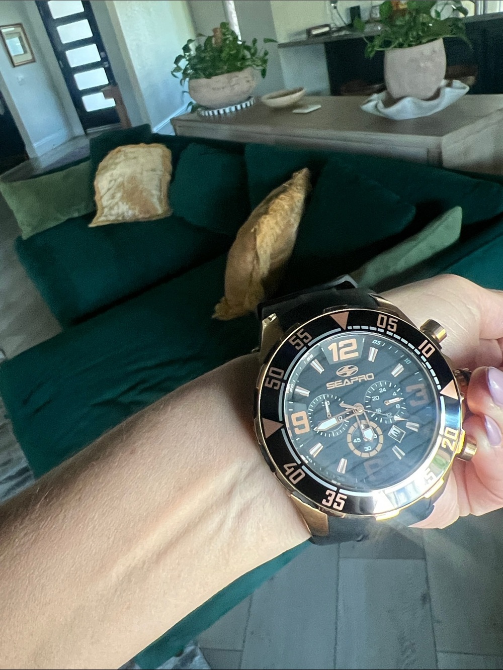 Men's Black and Gold Dive Watch